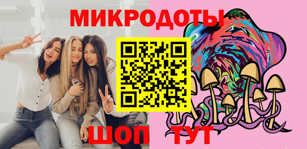 Галлюциногенные грибы Psilocybine cubensis  Вход с VPN  Гатчина 