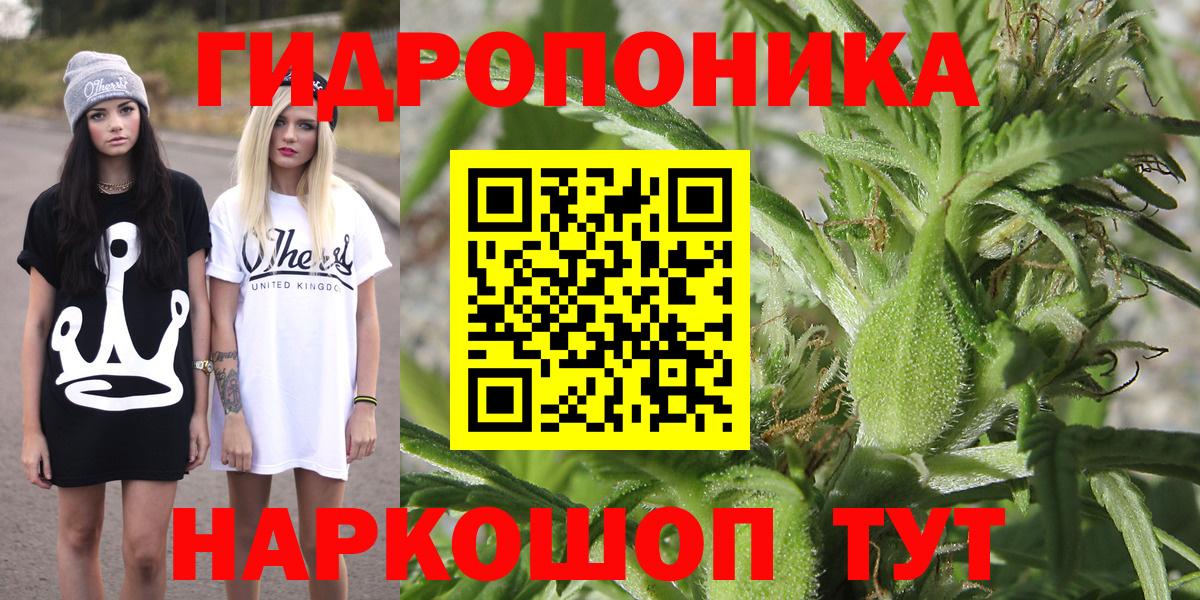 Бошки Шишки марихуана  Вход с VPN  Бошки марихуана OG Kush  Бошки марихуана сатива  Гатчина 